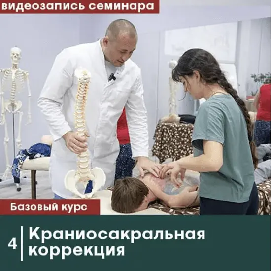 Сандал / Антон Циванюк, Михаил Белюк - Краниосакральная коррекция