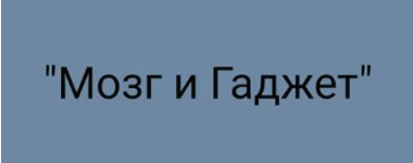 Салима Саиди - Мозг и гаджет