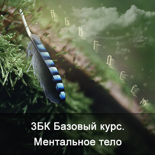 Ксения Меньшикова - 3 Базовый курс. Ментальное тело