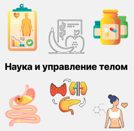 Канал Наука и управление телом (Апрель 2025 / Павел Баранов - Июнь 2026)