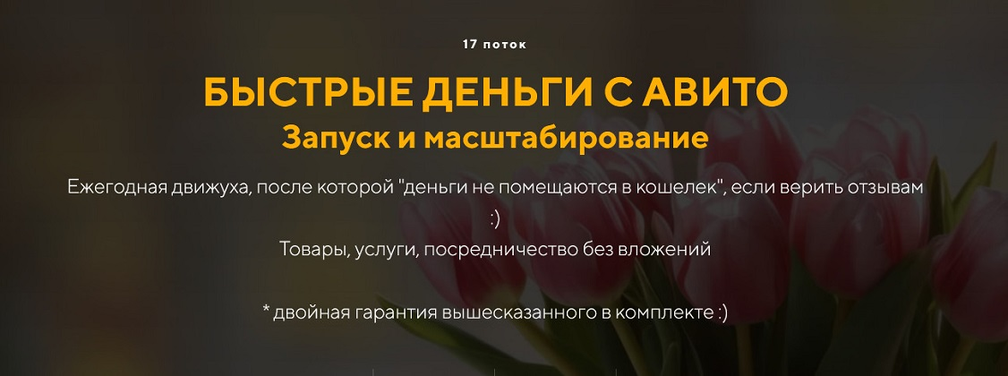 Евгений Дорохин - Быстрые деньги с Авито. Запуск и масштабирование. 17 поток